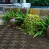 Acacia Wood Interlocking Deck Tiles Checker Pattern Outdoor Flooring - Dark Brown - Image 13