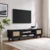 Modern Rattan Door Low TV Stand For TVs Up To 80" - Black - Image 4