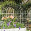 2 Pack Metal Garden Trellis Rustproof For Climbing Plant Outdoor Flower Support - Cream White - Image 3
