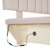Queen Size Upholstered Hydrualic Platform Floating Bed With LED Light And USB Port - Pink - Image 16