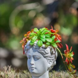 Greek Style Cement Head Planter Indoor Outdoor Home Garden Decor - Gray