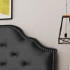 Charismatic - Queen & Full Size Headboard With Button Tufting And Nailhead Trim - Black - Image 8