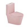 1.1 / 1.60 Gpf Dual-Flush One Piece Toilet, Water-Saving Elongated Comfort Height Floor Mounted, Soft Close 1000 Gram Map Flushing Score Toilet 23T01-Rs - Rose - Image 18