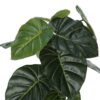 24" Tall, Artificial Plant, Alocasia, Indoor, Faux, Fake, Table, Greenery, Potted, Real Touch, Decorative - Green / Black - Image 5