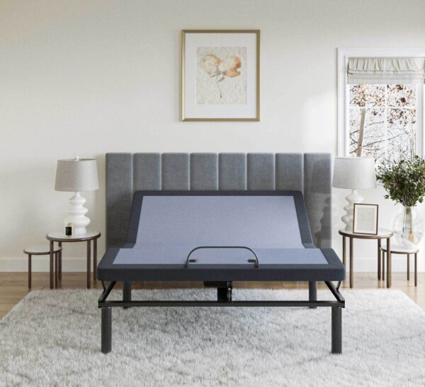 Bt2500 - Twin Adjustable Bed Base With Full-Range Positions Adjustment - Blue / Gray
