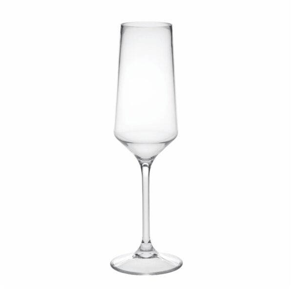 Tritan Lexington - Unbreakable Plastic Champagne Flutes, 10Oz (Set of 4) - Clear
