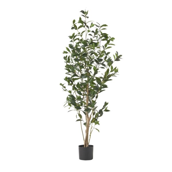 Artificial Laurel Tree - Green