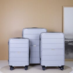 Hardshell Suitcase Spinner Wheels Pp Luggage Sets Lightweight Suitcase With Tsa Lock, 3 Piece Set (20/24/28) - Silver