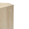 Corner Cabinet, Rattan Door, Freestanding Corner Tables For Small Spaces, Corner Shelf Stand For Living Room, Kitchen, Bathroom, Bedroom - Natural - Image 16