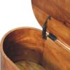 Rounded Lid Up Blanket Box - Chestnut - Image 5