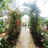 Metal Garden Arch With Two Plant Stands Wide High Climbing Plants Support Rose Arch Outdoor - Black - Image 6