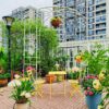 Metal Garden Arch Iron Garden Arbors Gazebo Dia High Birdcage Shape Pergola Pavilion For Wedding Ceremony - Cream White - Image 4