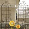 2 Pack Metal Garden Rustproof Trellis For Climbing Plants Outdoor Flower Support - Black - Image 8