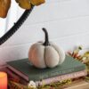 Weighted Pumpkin / Pattern (Set of 3) - Cream - Image 4