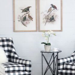 Bird Framed Print (Set of 2) - Multicolor