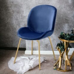 Chuchip - Side Chair (Set of 2) - Blue / Gold