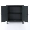 Firwood Mirror Finished Double Door Cabinet - Charcoal Gray - Image 8
