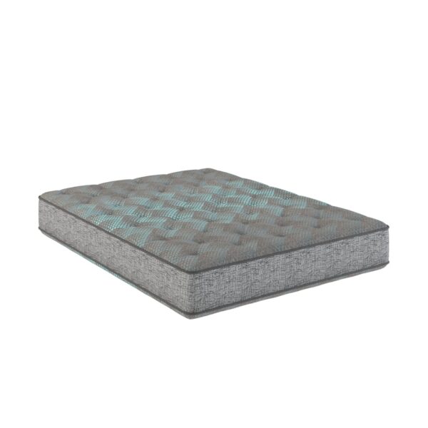 Comfort Care - 9" Full Size, 2 Sided Foam Core Mattress, Medium Comfort - Gray / Blue