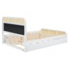Queen Size Platform Bed With Trundle And 2 Drawers - White - Image 12