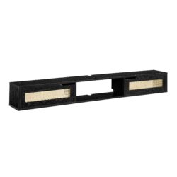 Modern Rattan Door Floating TV Stand For TVs Up To 80" - Black