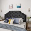 Charismatic - Queen & Full Size Headboard With Button Tufting And Nailhead Trim - Black - Image 2