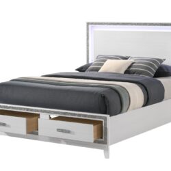 Haiden - Queen Bed With Storage LED - White