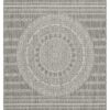 Sunshine - 2'7" X 7'3" Indoor, Outdoor, Area Rug Polypropylene - Silver - Image 2