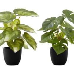 13" Tall, Artificial Plant, Monstera Calthea, Indoor, Faux, Fake, Table, Greenery, Potted, Decorative (Set of 2) - Green / Black