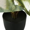 13" Tall, Artificial Plant, Monstera Calthea, Indoor, Faux, Fake, Table, Greenery, Potted, Decorative (Set of 2) - Green / Black - Image 5