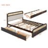 Queen Size Platform Bed With Trundle And 2 Drawers - Espresso - Image 13