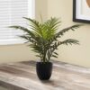 20" Tall, Artificial Plant, Palm, Indoor, Faux, Fake, Table, Greenery, Potted, Real Touch, Decorative - Green / Black - Image 4