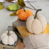 Weighted Pumpkin / Pattern (Set of 3) - Cream - Image 6