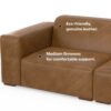 Rex - 2 Seater Sofa - Brown - Image 14