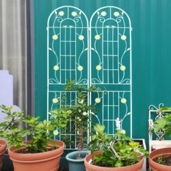 4 Pack Metal Garden Trellis Rustproof Trellis For Climbing Plant Outdoor Flower Support - Cream White