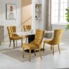 Nikki - Modern, High-End Tufted Solid Wood Contemporary Velvet Upholstered Dining Chair With Golden Stainless Steel Plating Legs, Nailhead Trim (Set of 2) - Gold - Image 15
