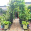 Metal Garden Arch With Two Plant Stands Wide High Climbing Plants Support Rose Arch Outdoor - Black - Image 7