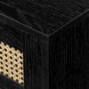 Modern Rattan Door Floating TV Stand For TVs Up To 80" - Black - Image 3