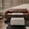 Harrison - Coffee Table Storage Ottoman - Platinum - Image 7