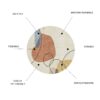 Rabbit - Washable Non - Slip Round Rug - Ivory / Red - Image 5