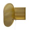 Oval Medicine Cabinet Mirror Bathroom Mirror With Storage Wall Mounted Medicine Mirror Cabinet With LED - Golden - Image 15
