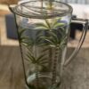 Unbreakable Plastic Water Pitcher With Lid, Palm Tree Design - Clear - Image 5