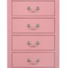 Lingerie Chest - Pink - Image 2