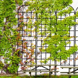 2 Pack Metal Garden Rustproof Trellis For Climbing Plants Outdoor Flower Support - Black