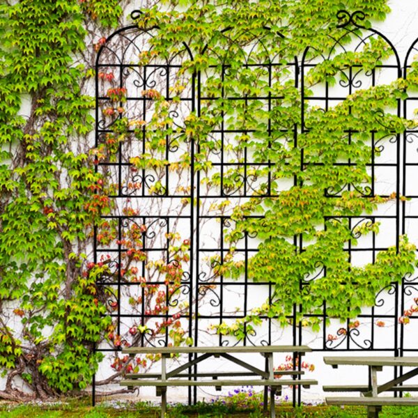 2 Pack Metal Garden Rustproof Trellis For Climbing Plants Outdoor Flower Support - Black