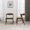 Dakota - Velvet Dining Chair (Set of 2) - Brown / Yellow - Image 3