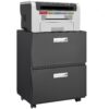 Office Furniture Copier Cabinet 2 Door Steel Copier Stand Mobile Pedestal File Printer Stand - Black - Image 2