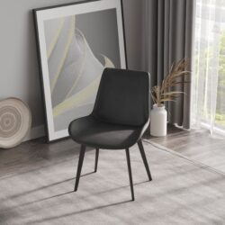 Modern Dining Chair Living Room Metal Leg Dining Chair (Set of 2) - Black / Gray