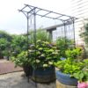 Metal Garden Arch Climbing Plants Support Rose Arch Outdoor - Black - Image 6