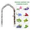 Metal Garden Arch Assemble Freely With 8 Styles Garden Arbor Trellis Climbing Plants Support Rose Arch - Black - Image 14