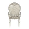Bently - Arm Chair (Set of 2) - Champagne - Image 3